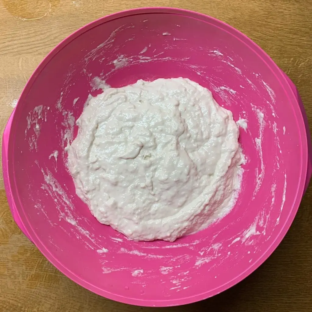 Neapolitan Pizza Poolish Before Proofing