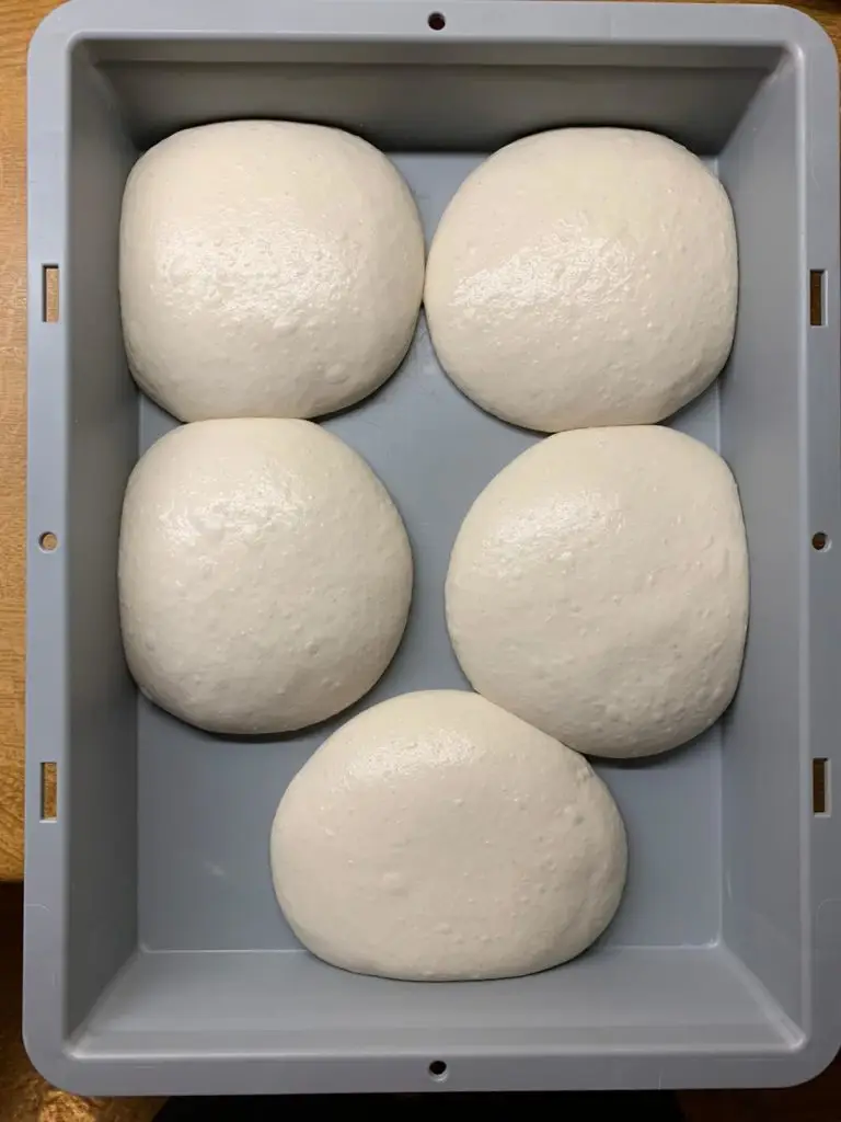 Neapolitan Pizza Poolish dough balls before baking