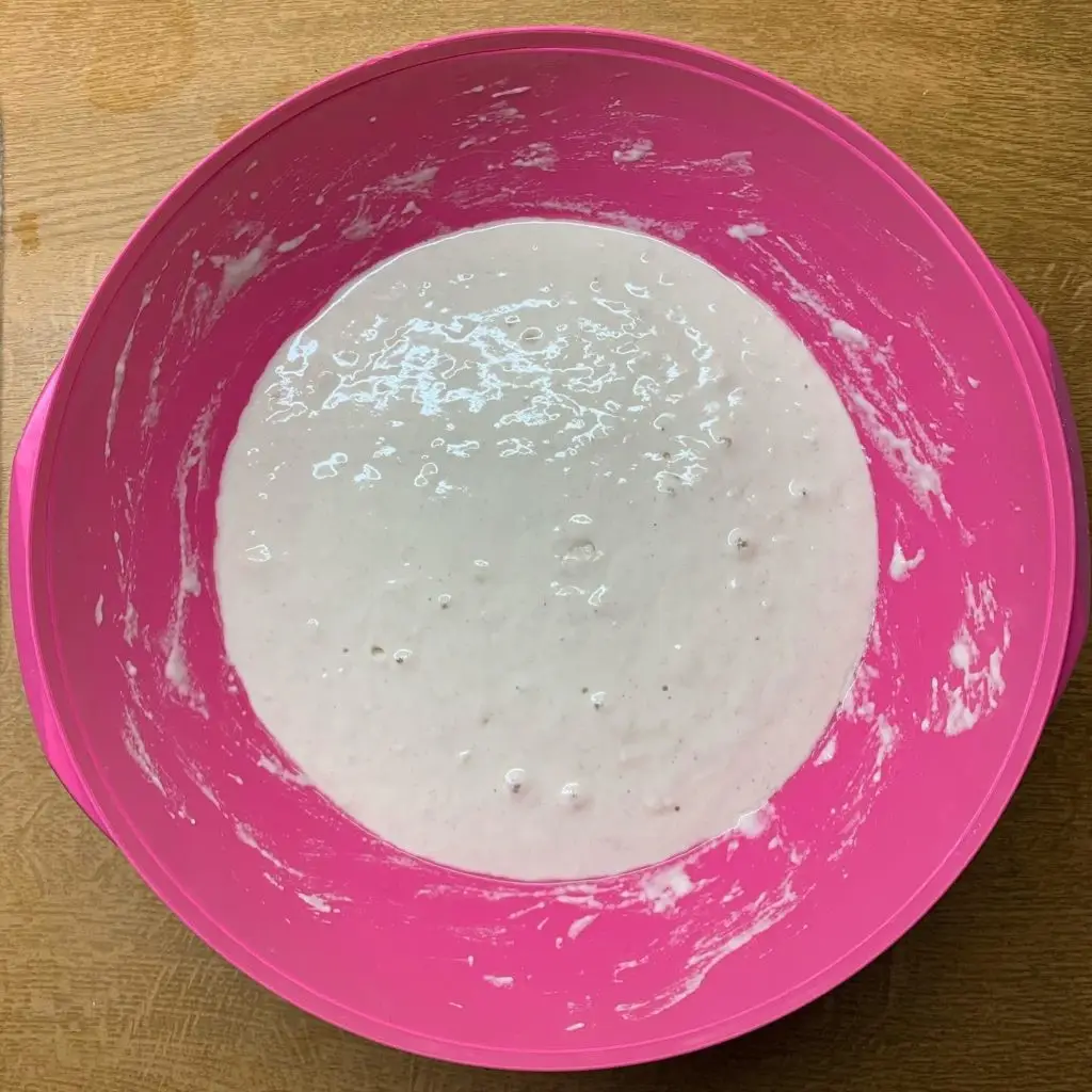Poolish nach der Gare im Kühlschrank