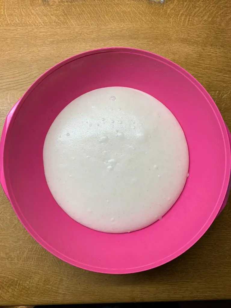 Neapolitan Pizza Dough after proofing in the fridge