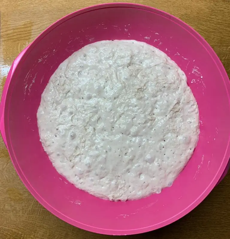 No-Knead Pizza Dough After Rest