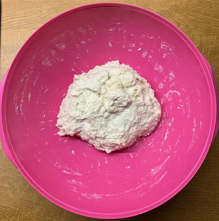 No-Knead Pizza Dough Before Rest