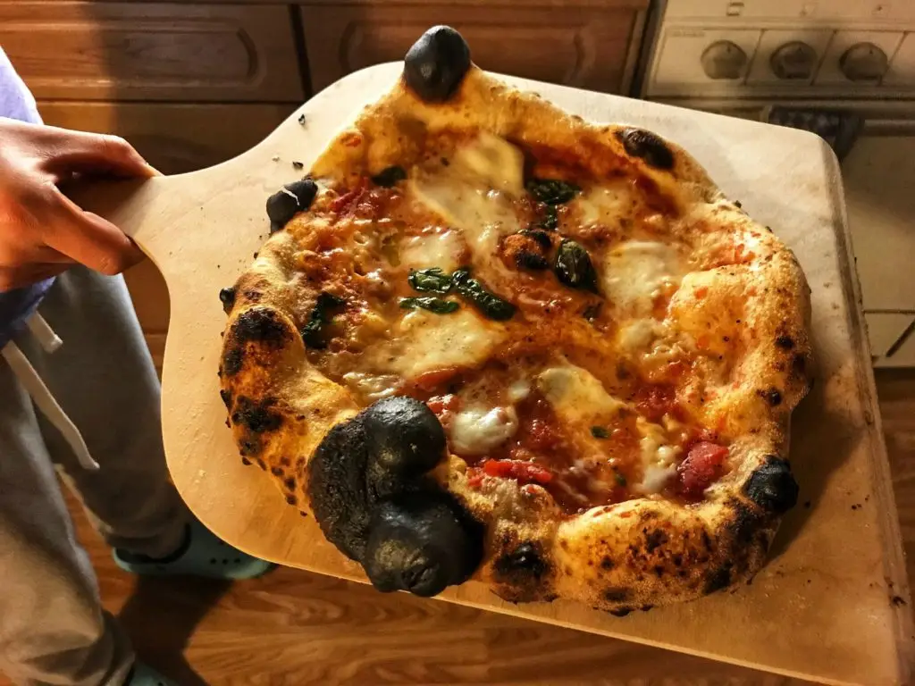 Pizza with burnt bubbles