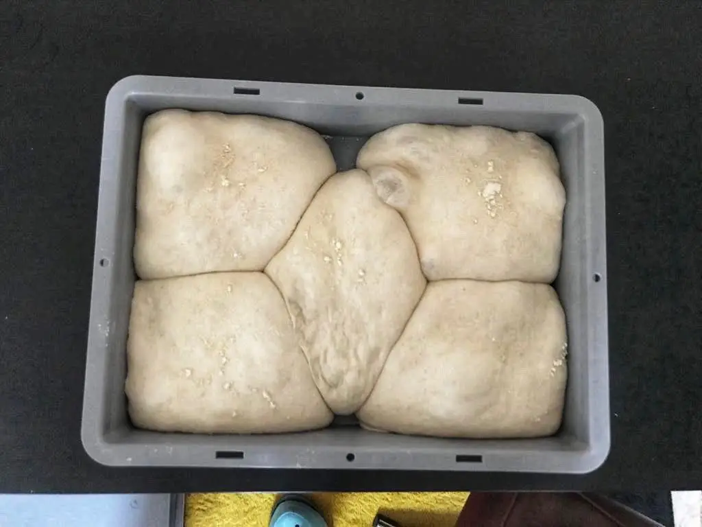 Pizza dough balls melted