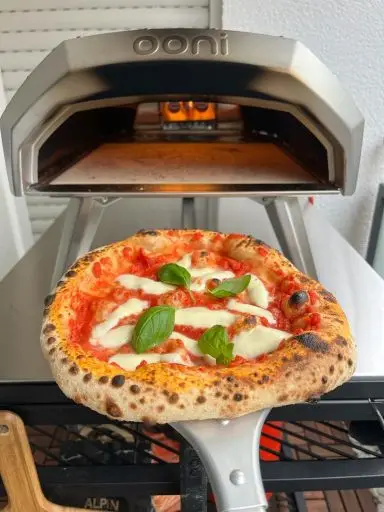 Pizza Margherita baked with gas - Oven view