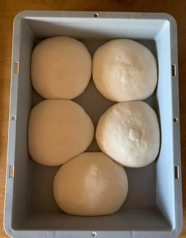 Dough balls after balled fermentation