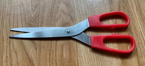 Scissors Pizza Cutting