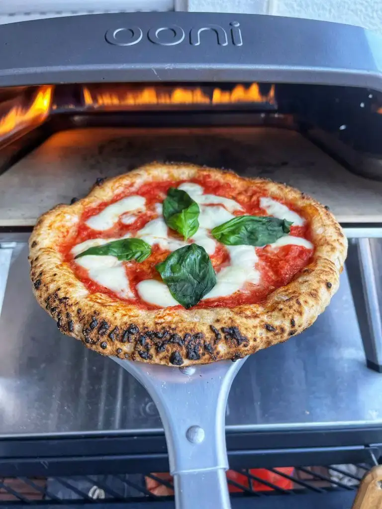 Gluten Free Pizza Pizza Oven
